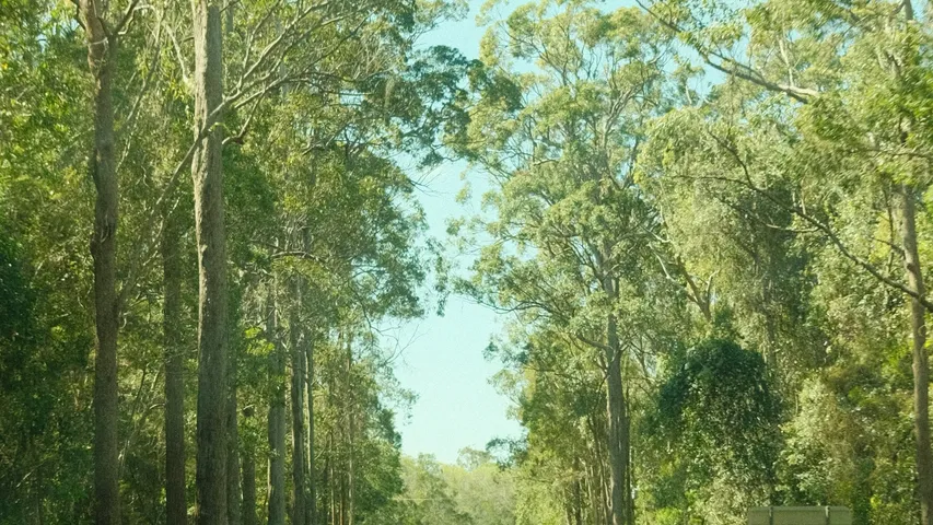 Weipa Running Festival 2025