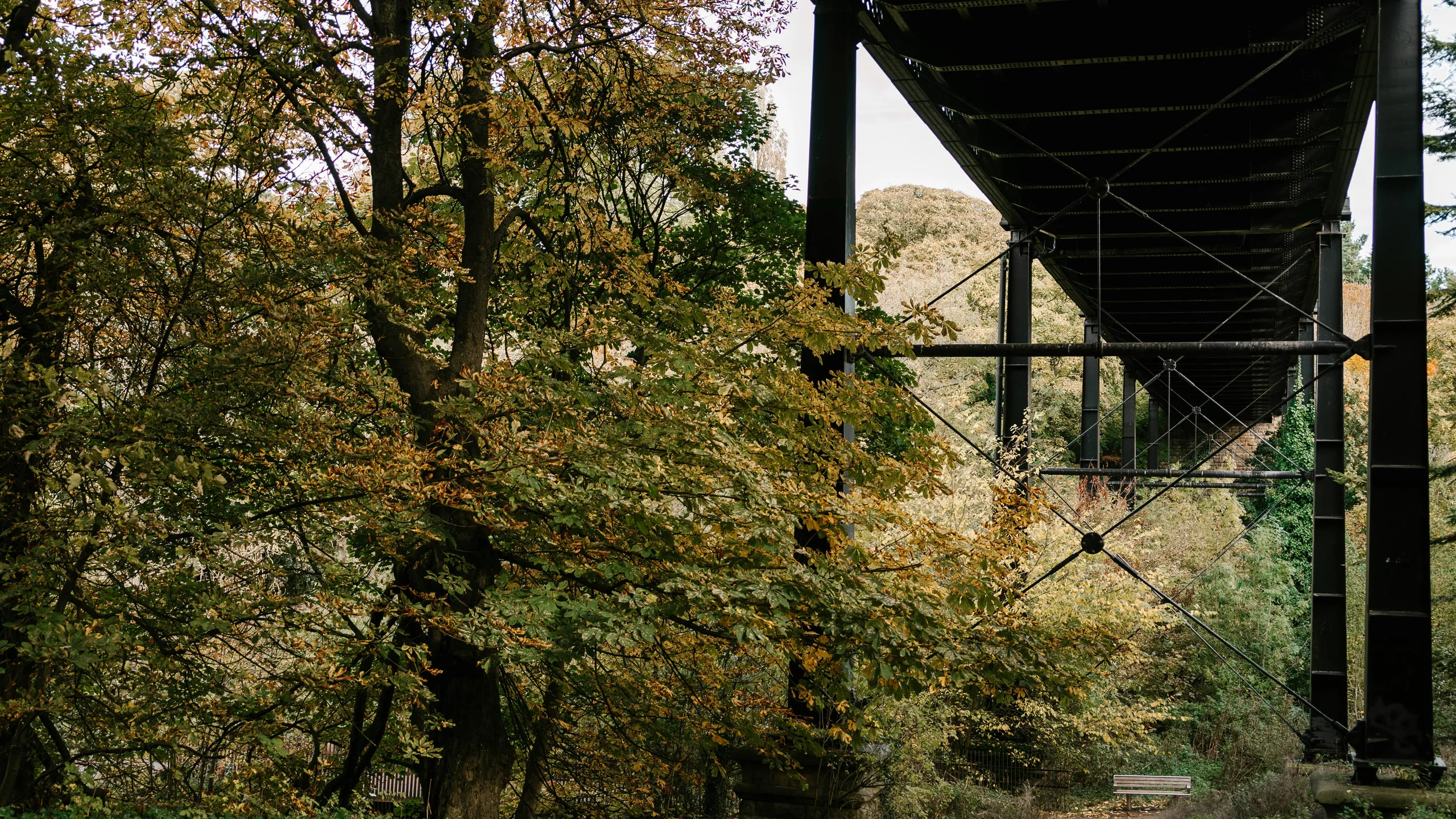 Run the Vineyards - Federal Twist 10K/5K 2025