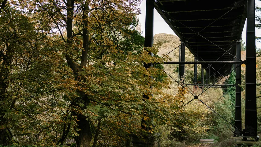 Run the Vineyards - Federal Twist 10K/5K 2025