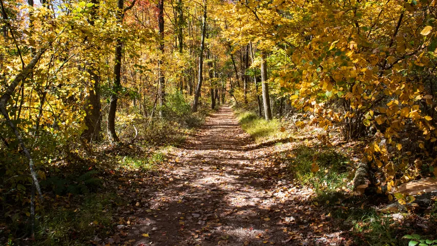 Jim Thorpe Area Running Festival