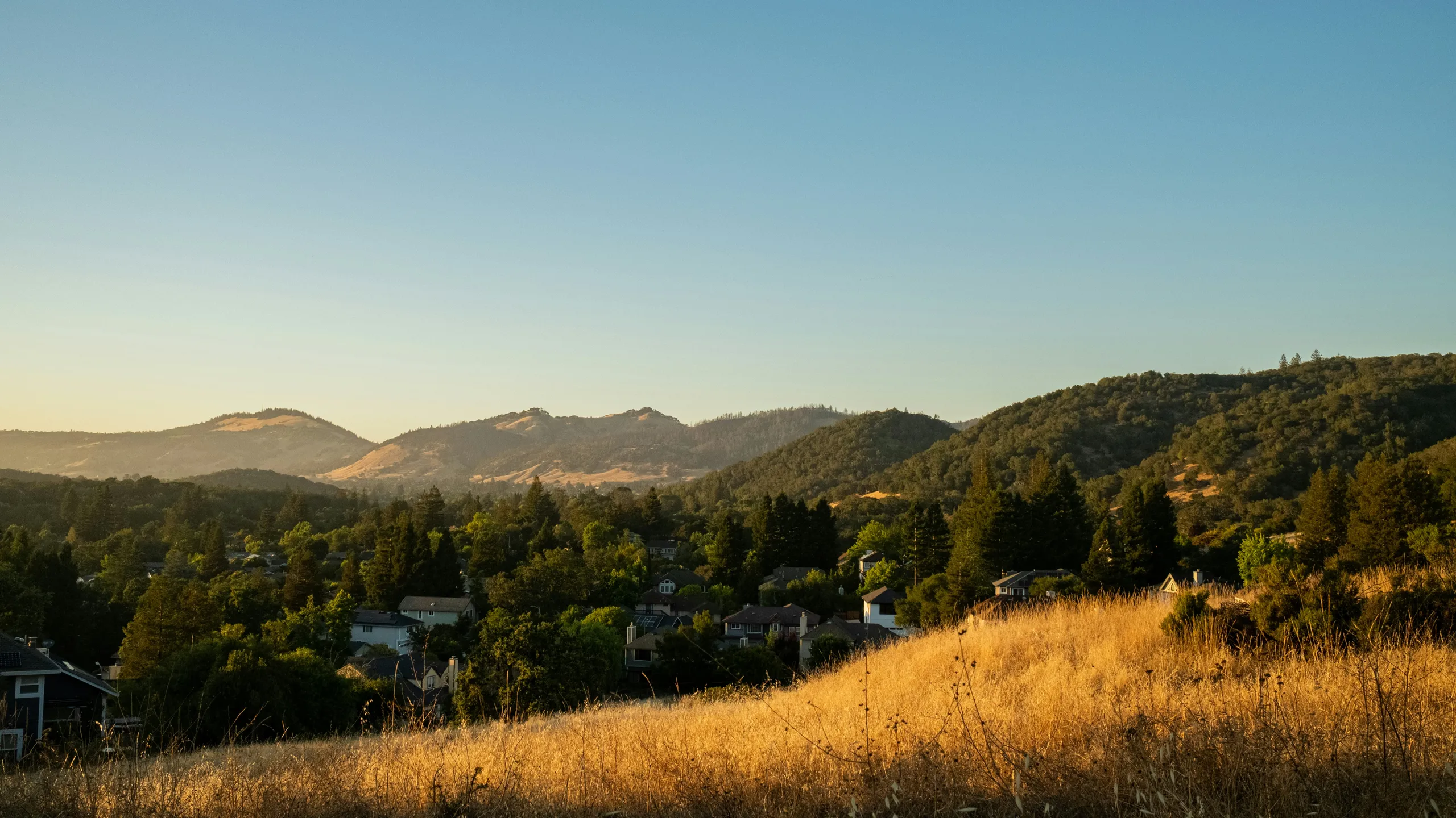 IPA10K & Hallowine Half Marathon