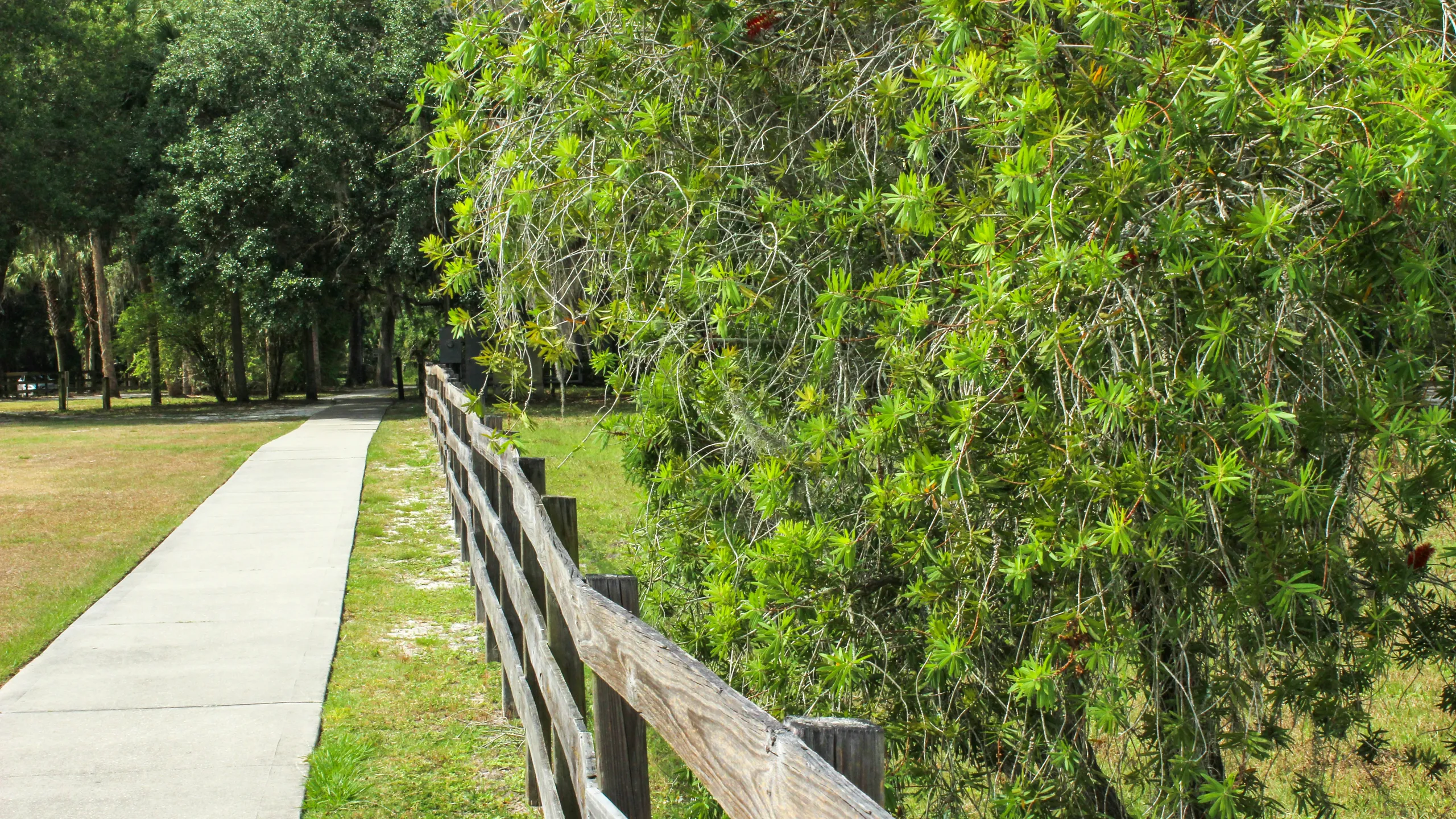 Central Florida Legends Marathon, Half Marathon and 5K 2025