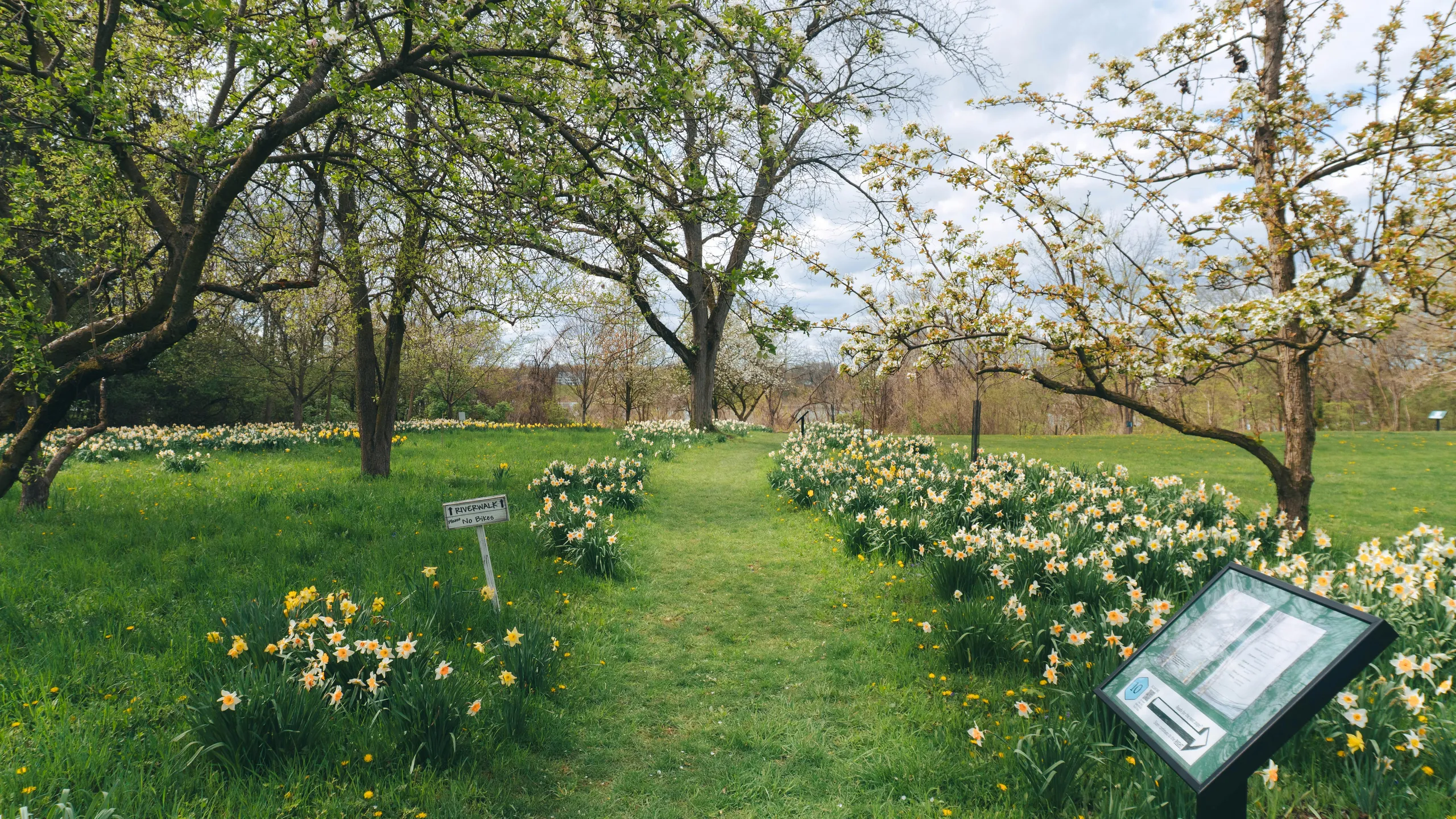Churchill's Half Marathon and 5K to End Hunger