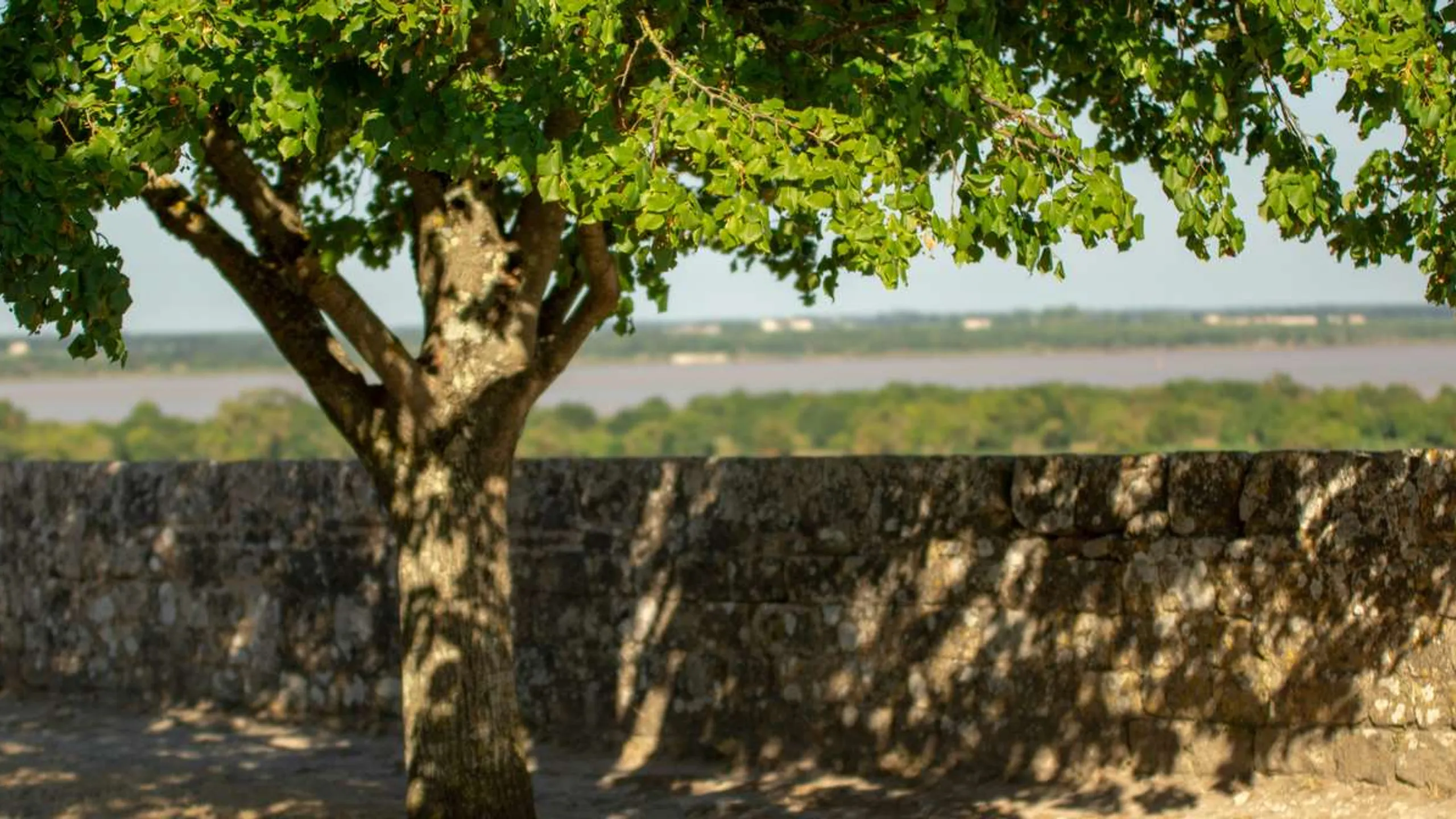 Marathon des Vins de Blaye