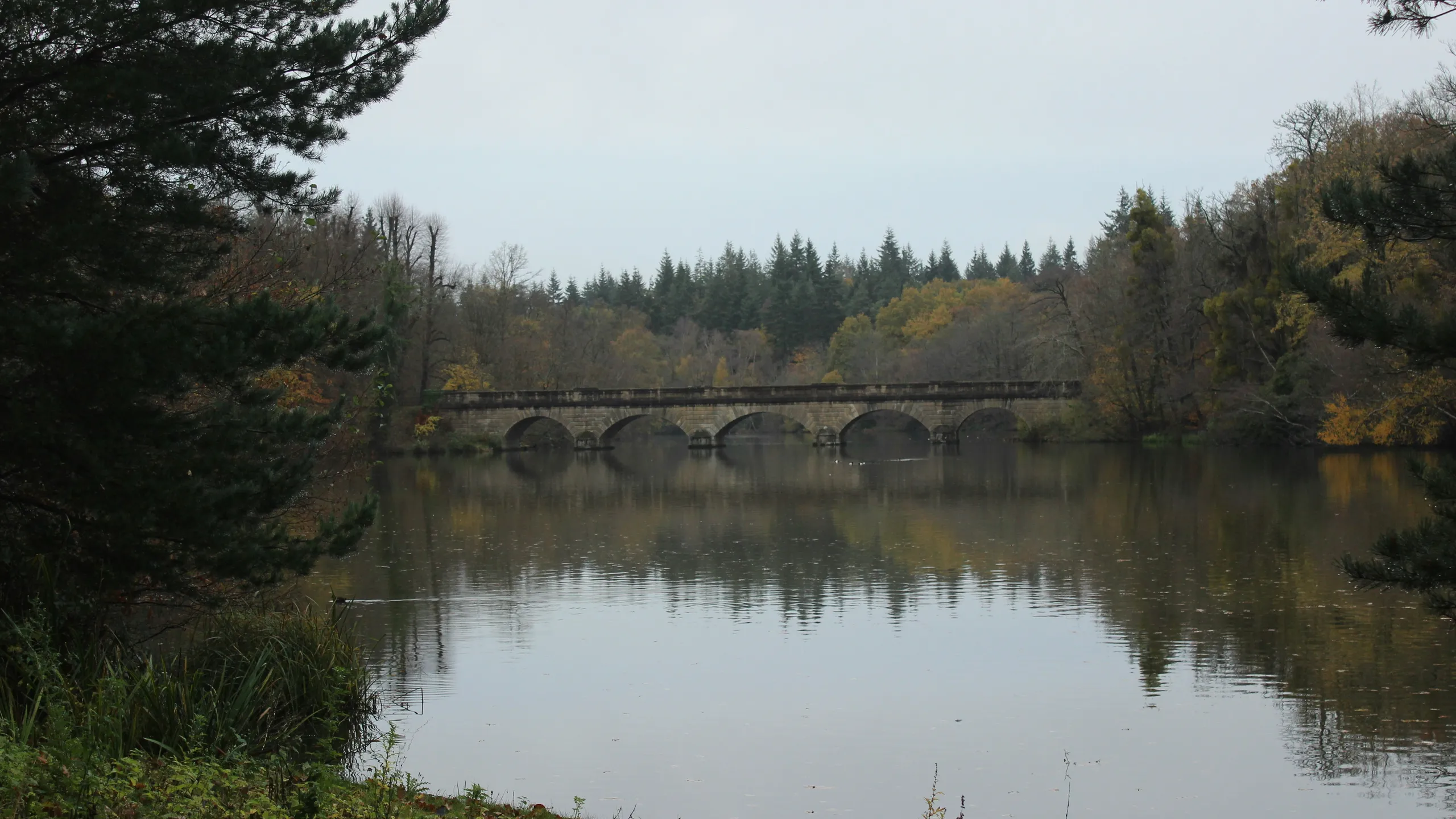 Tri Reigate Sprint & Standard Triathlon