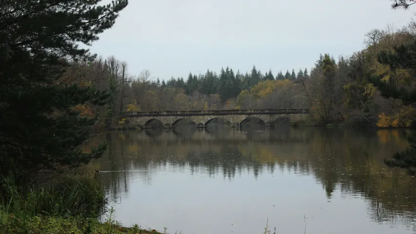 Tri Reigate Sprint & Standard Triathlon