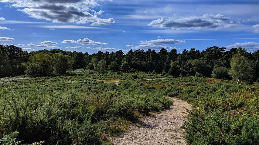 Stansted House Trail Run