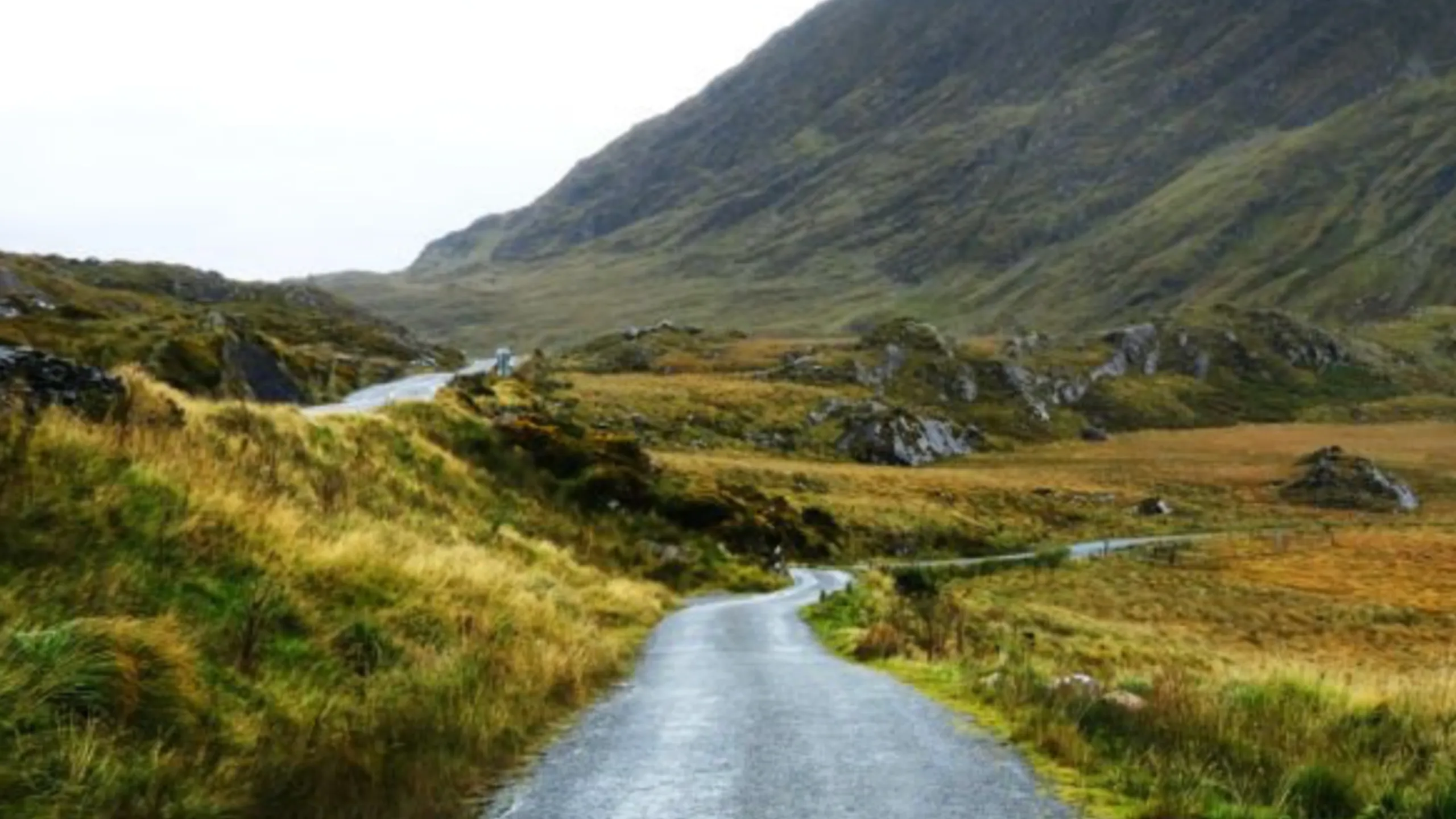EcoTrail Wicklow