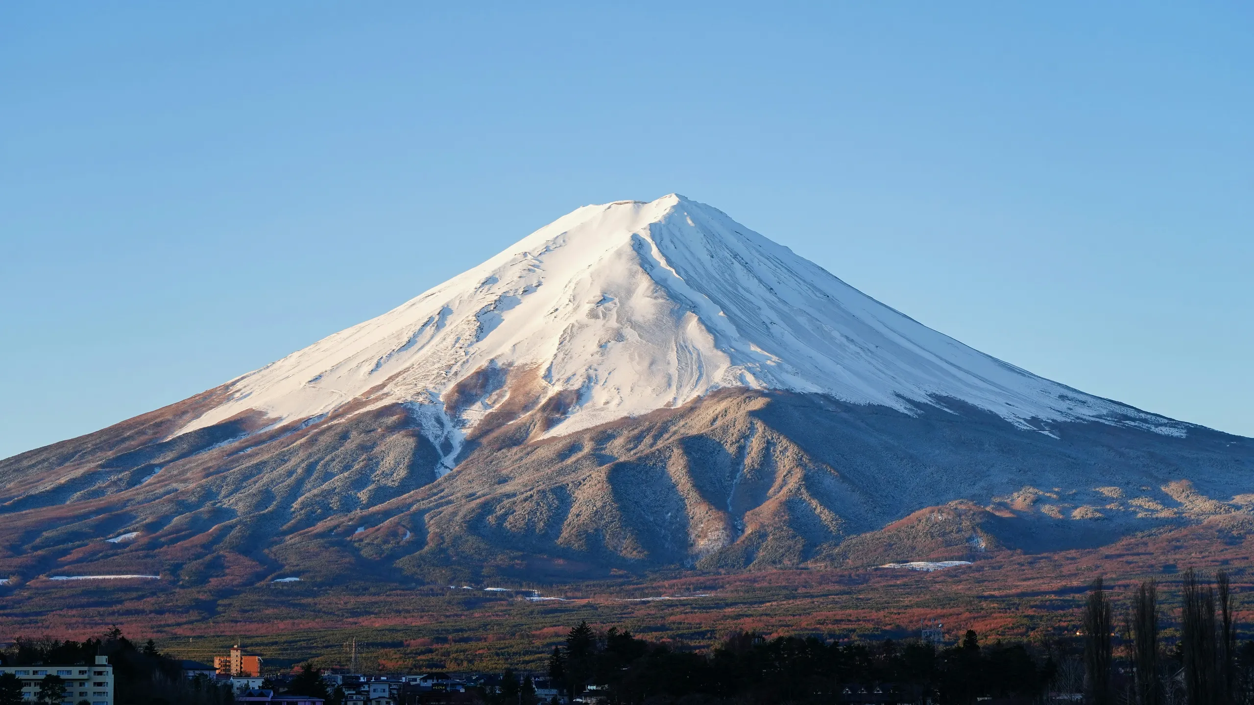 Mt. FUJI International Marathon
