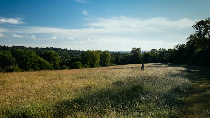 South Downs Way 50km 2026