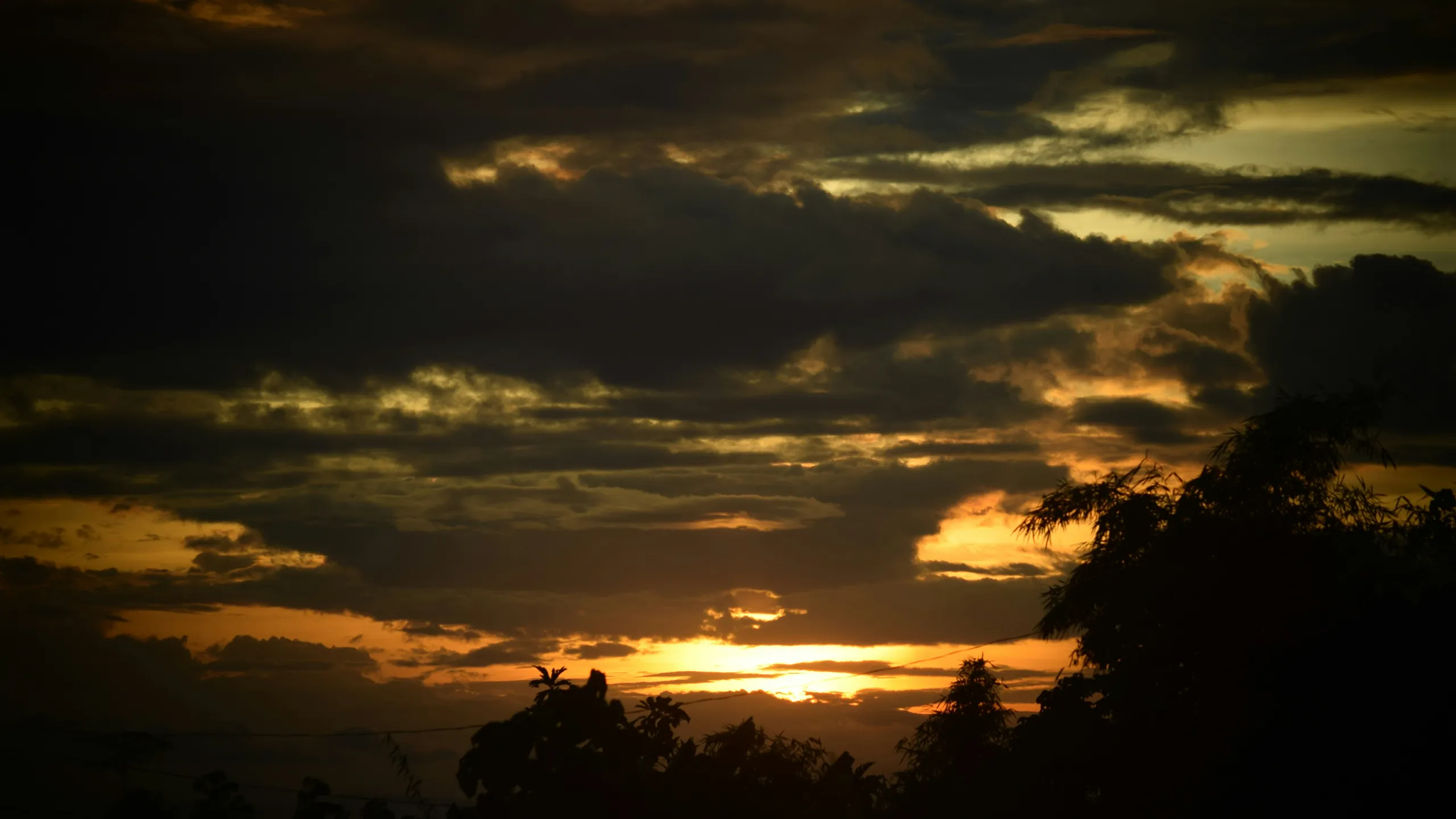 National MILO Marathon - Naga 2025