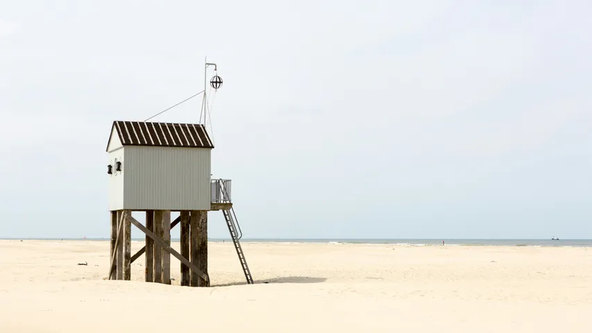 Berenloop Terschelling Marathon 2025