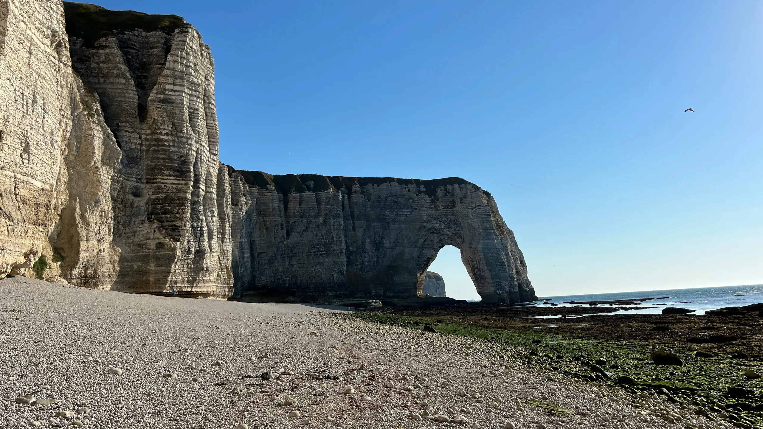 Course des Colombiers d'Offranville