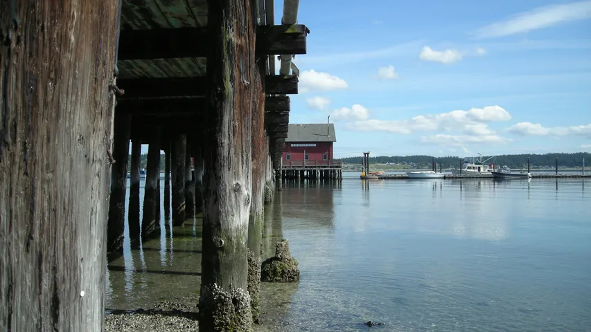 Race the Reserve Whidbey Island