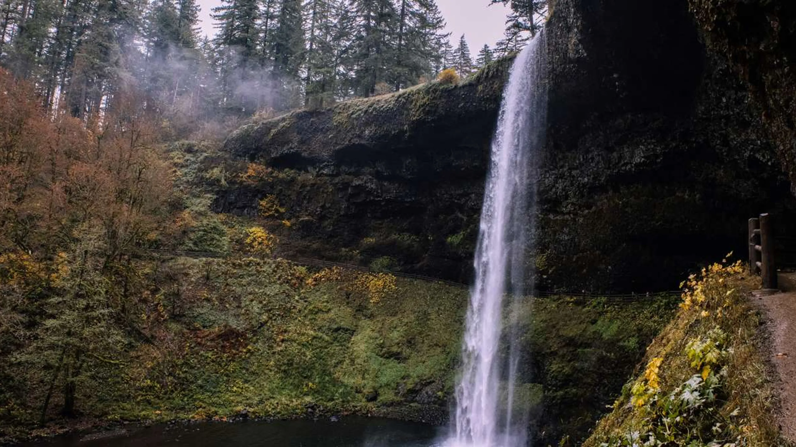 Silverton Alpine Marathons