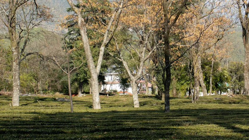 Macon Music Half Marathon 2025