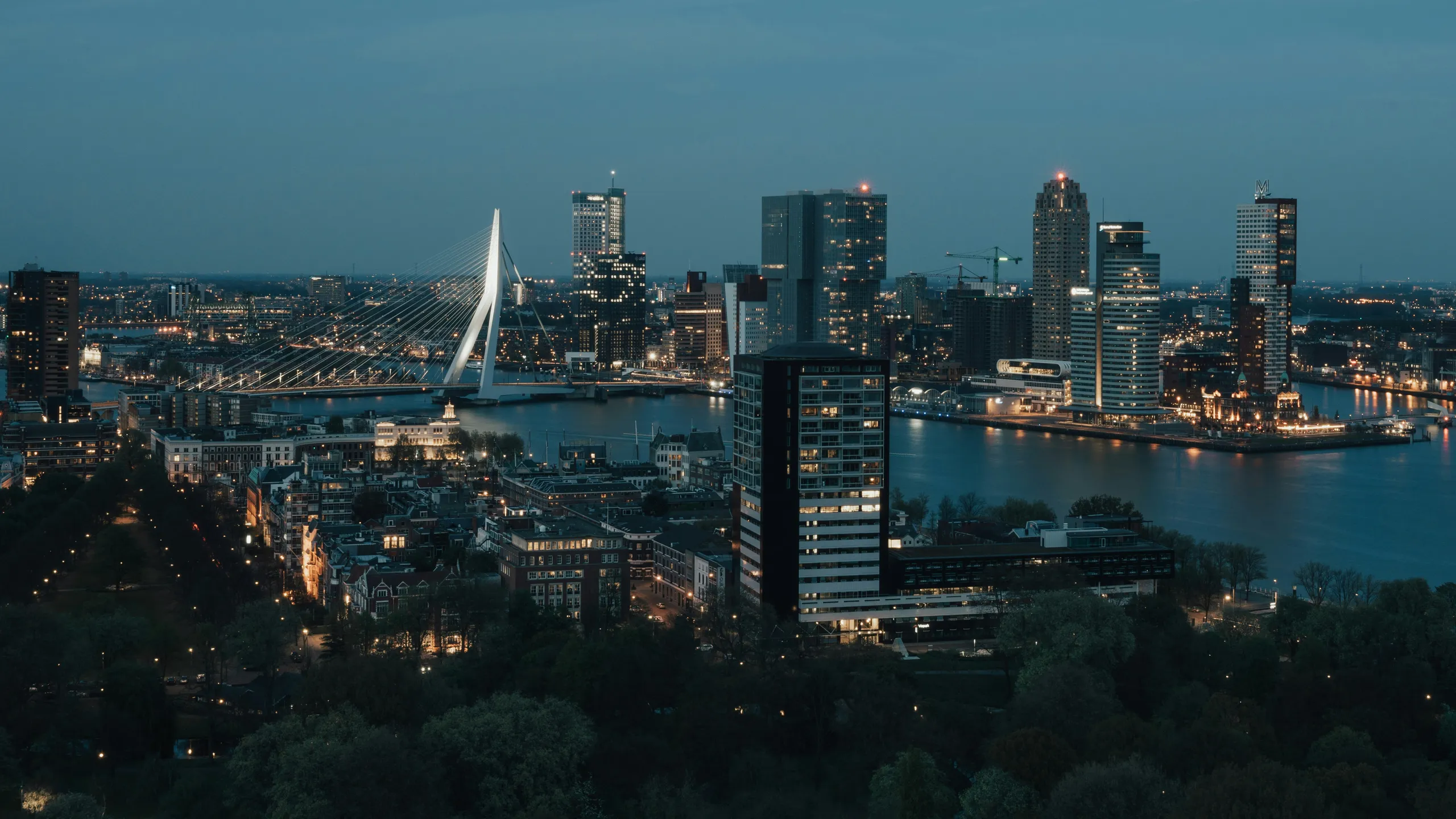 DSW Bruggenloop Rotterdam