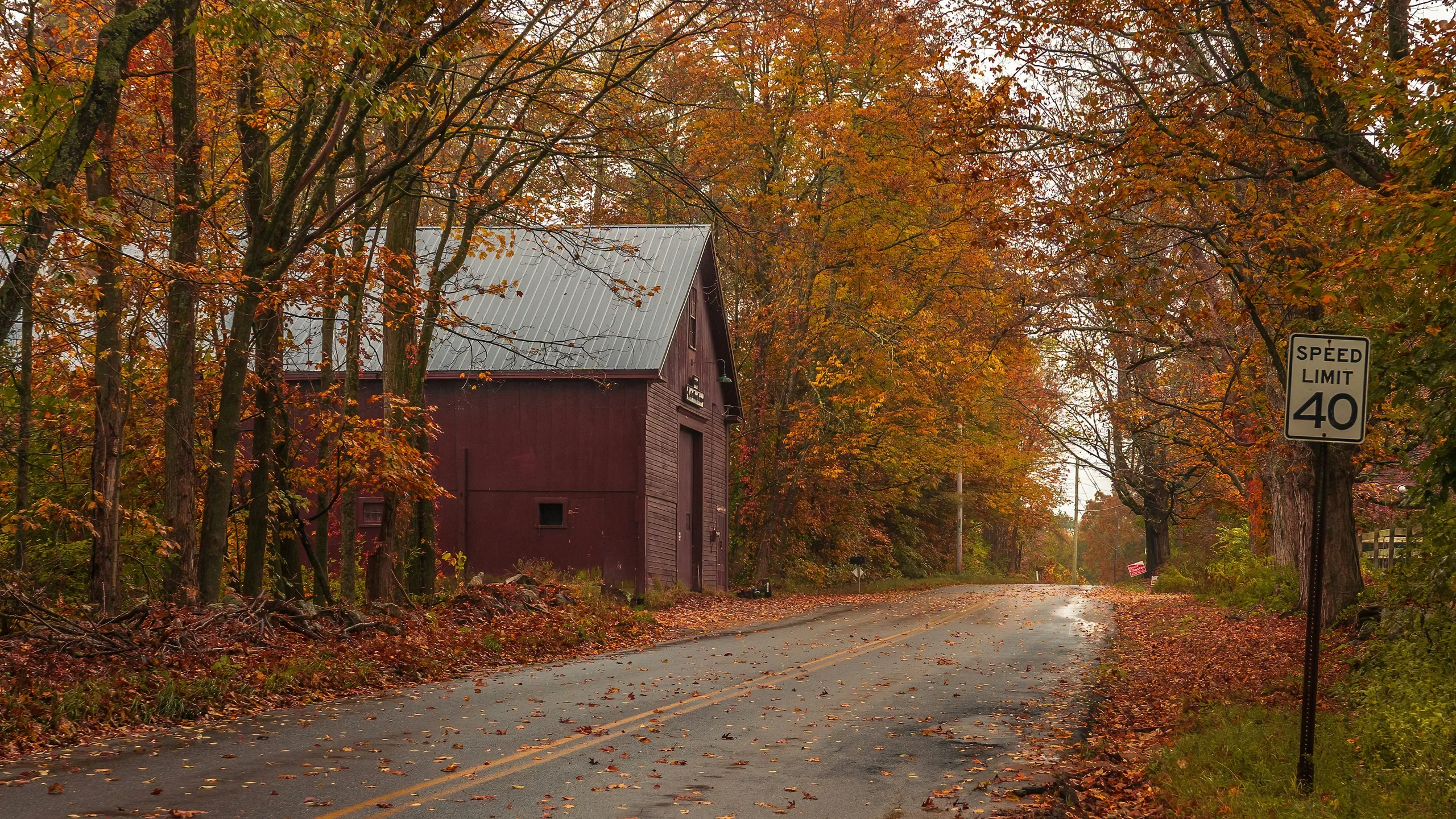 TARC Blue Hills Skyline Trail Run
