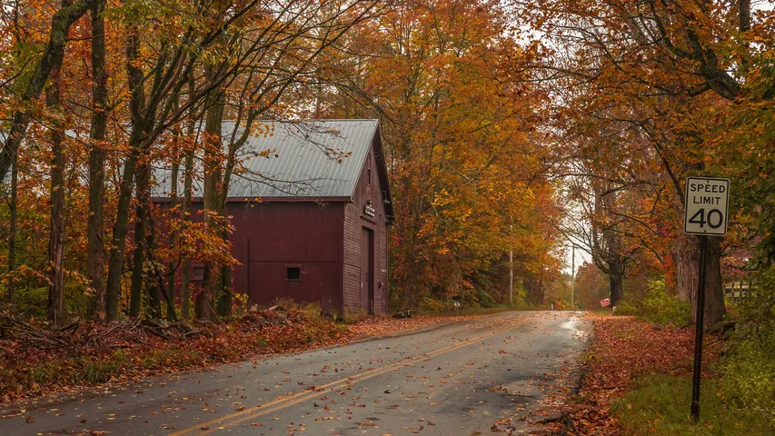 TARC Blue Hills Skyline Trail Run