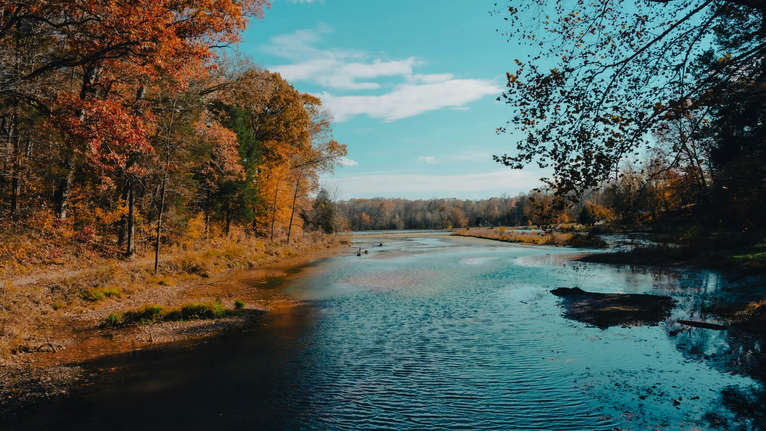 Clarksville Half Marathon & 5K