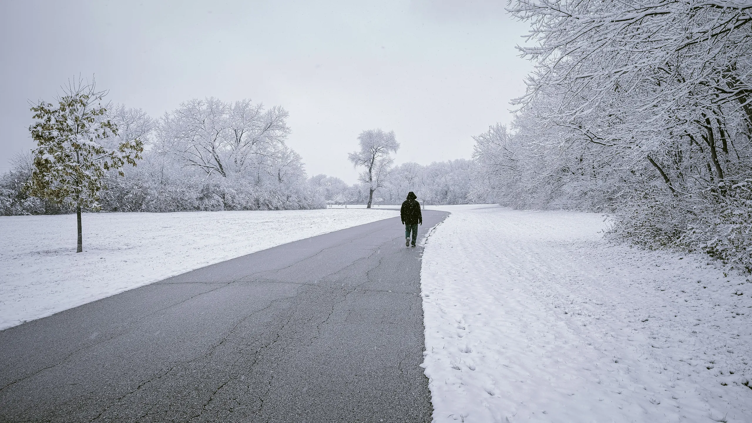 Jingle Bell Run - Iowa
