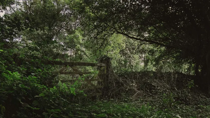 East Devon Round
