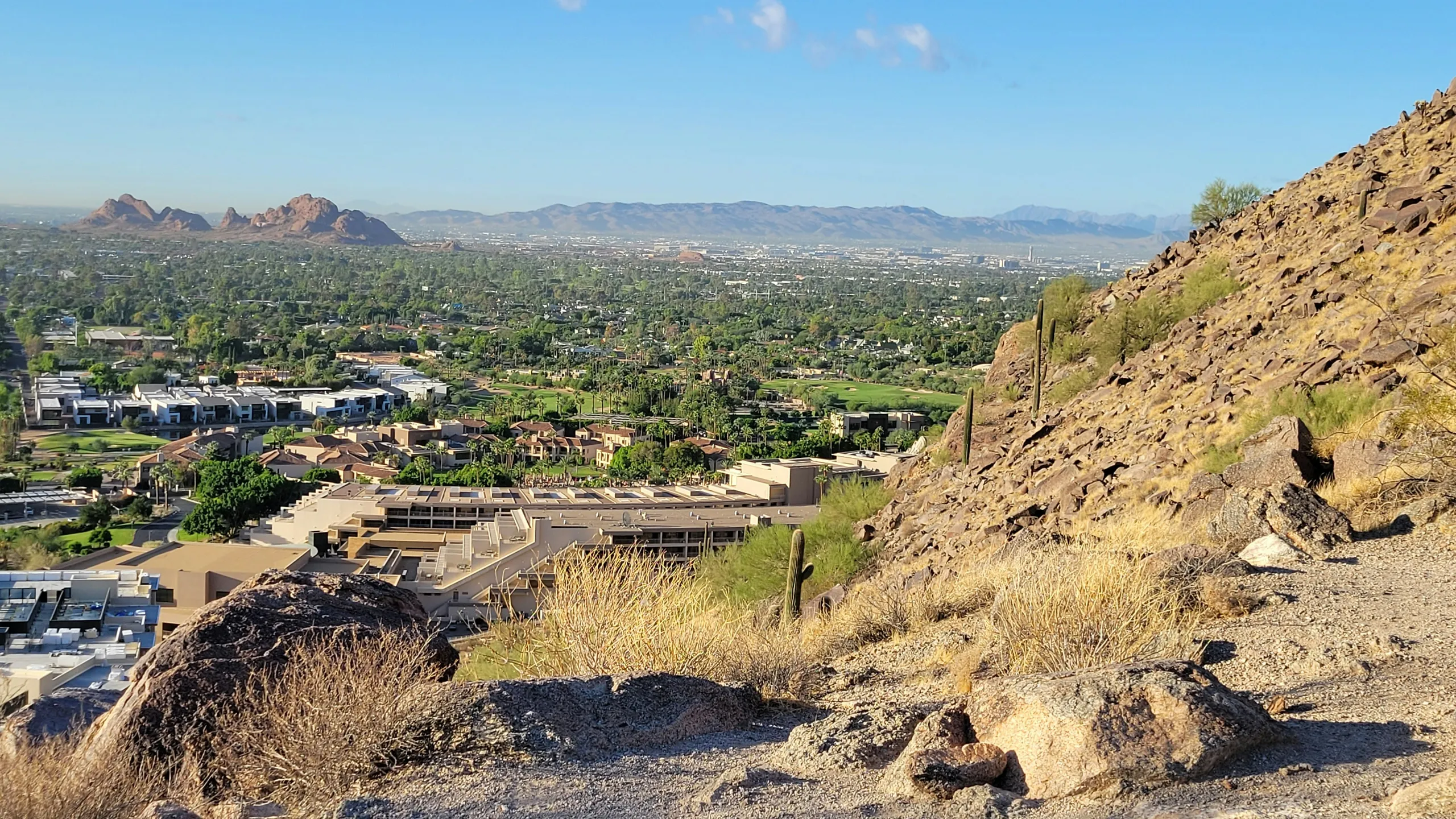 Phoenix Children's Spooktacular Sprint & 5K