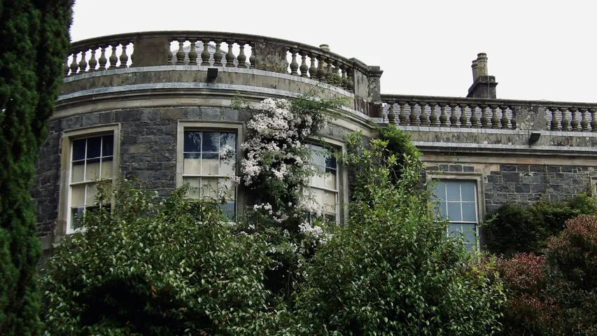 Heath Graham Ards 5 Mile