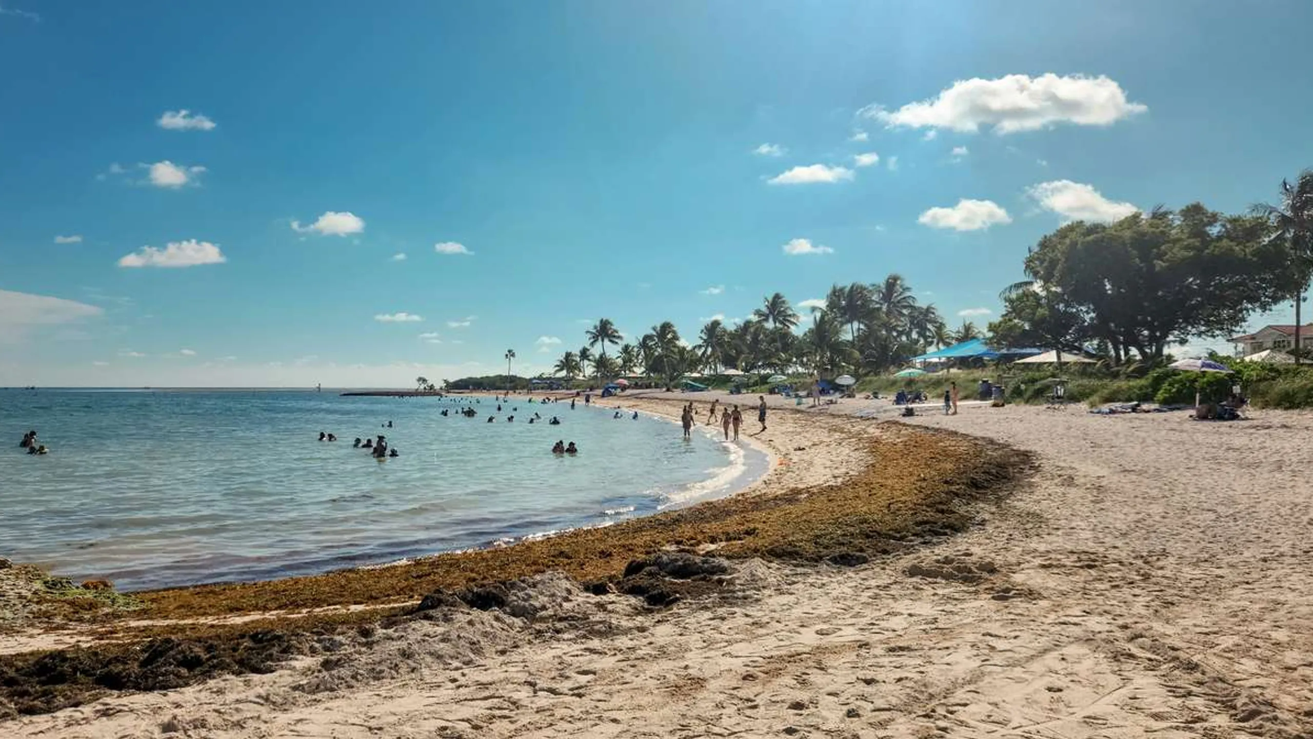 Key West Half Marathon & Runfest