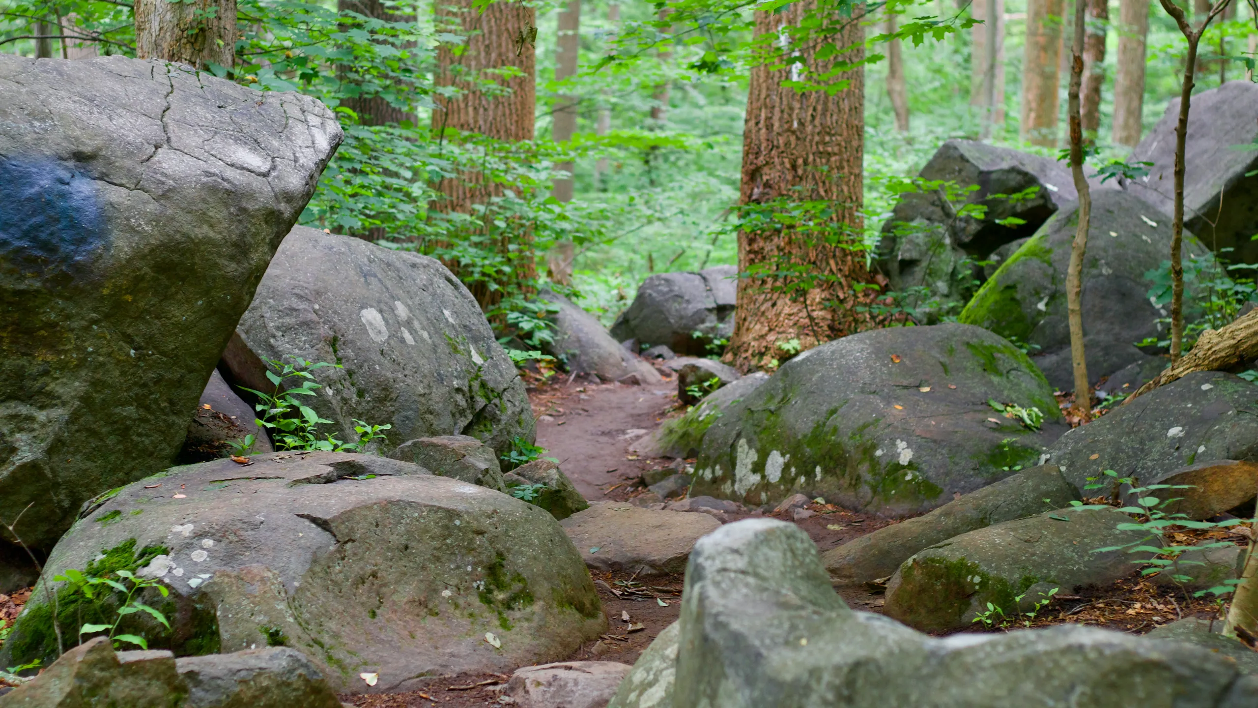 MuleSkinner Endurance Races