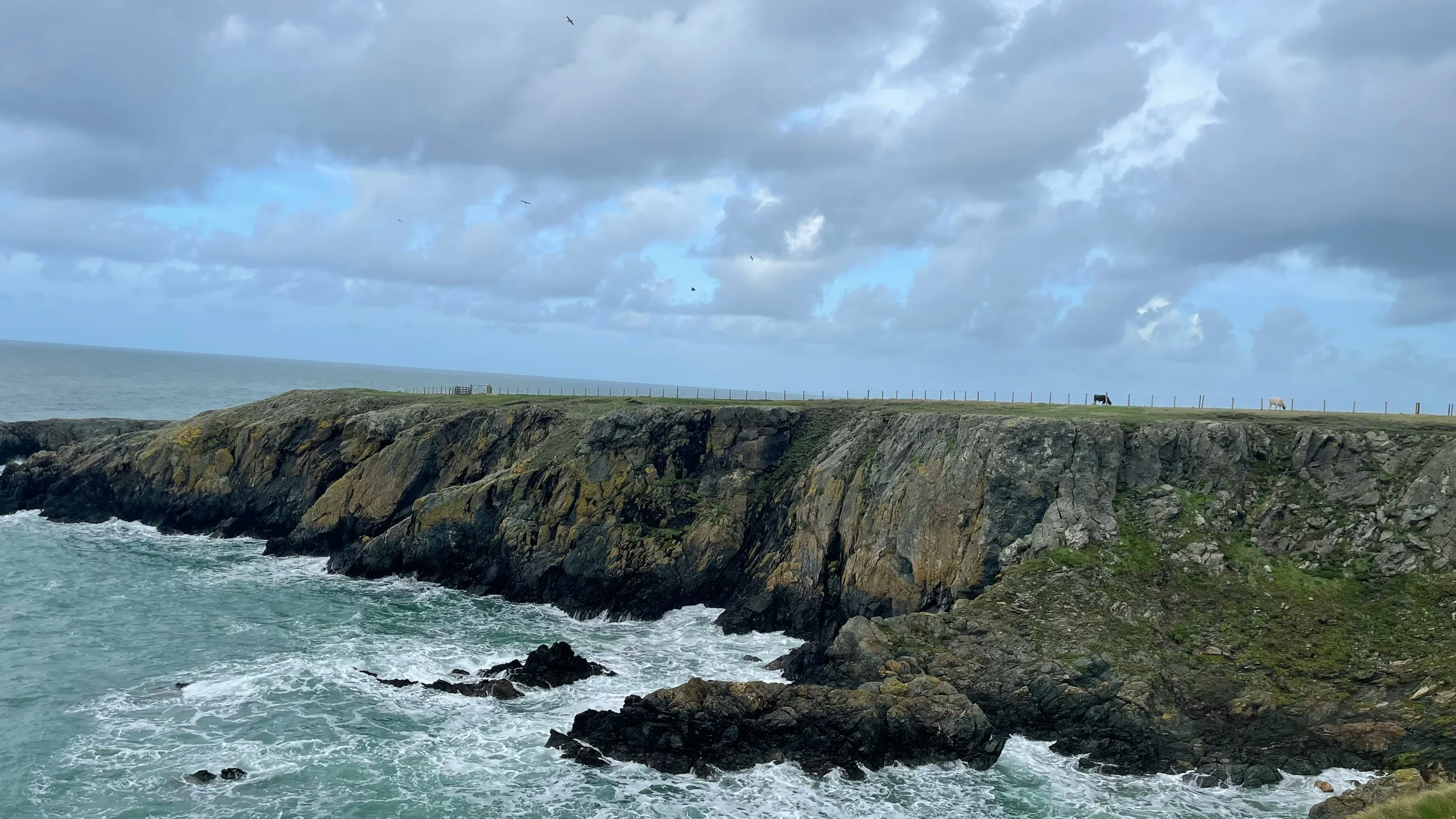 Pen Llŷn Ultra - Winter Edition