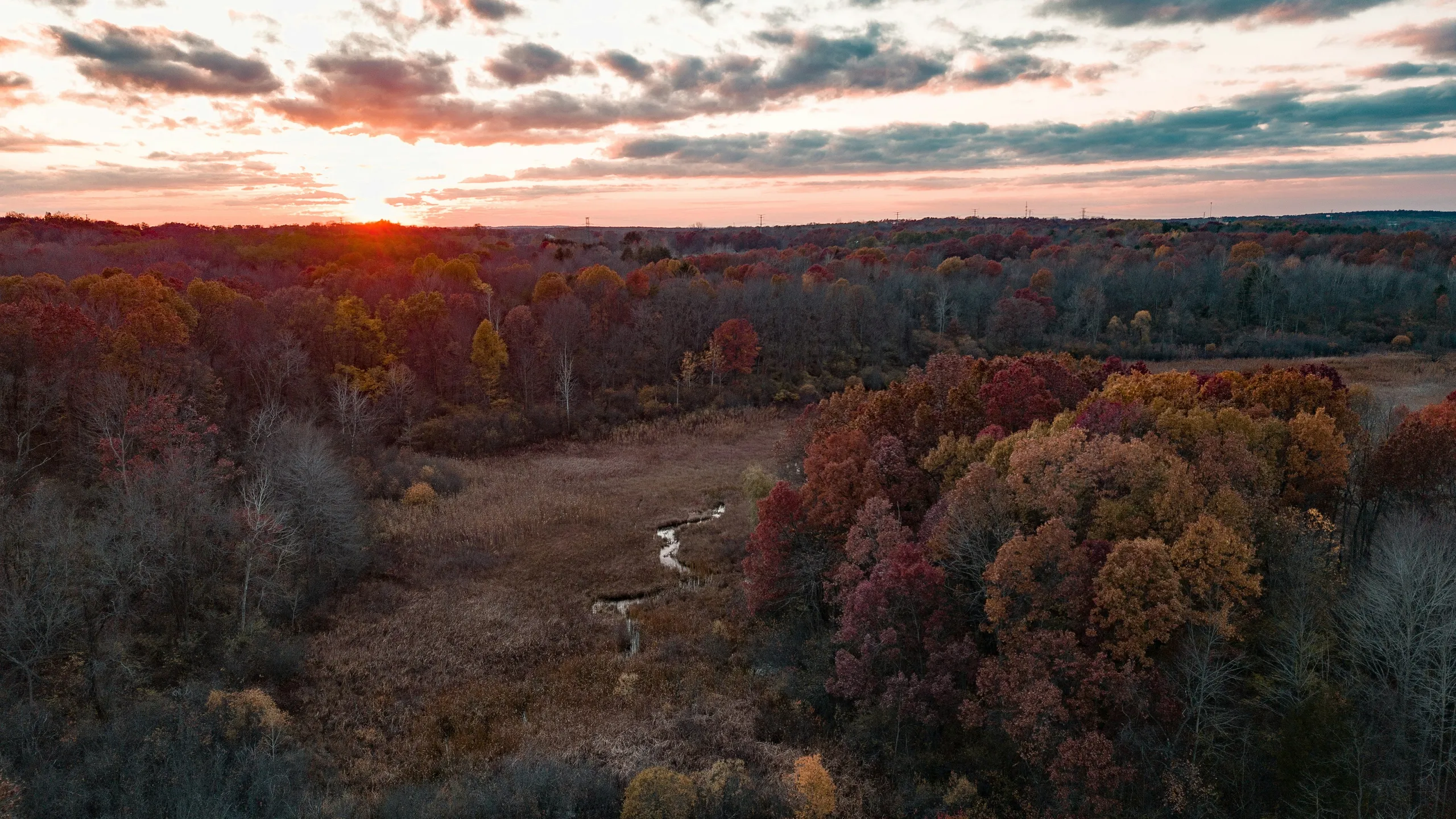 Black Toenail Friday Half Marathon and 7.5 Miler