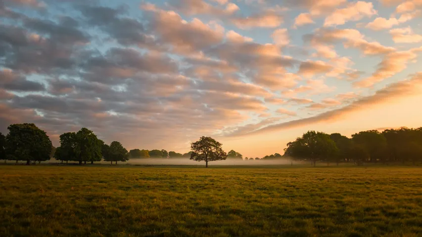 Richmond Park 5K, 10K and Half Marathon September