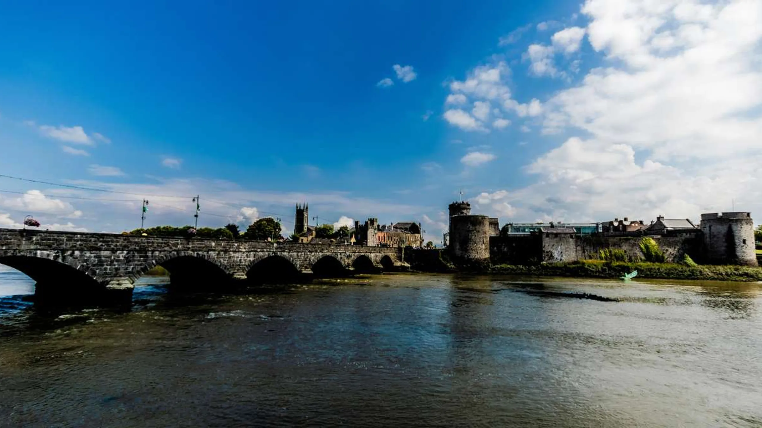 Regeneron Great Limerick Run
