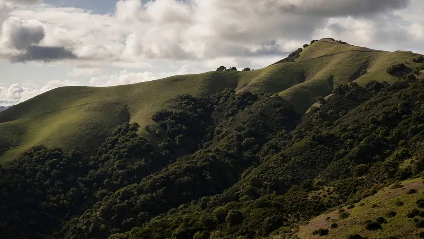 The Big Alta