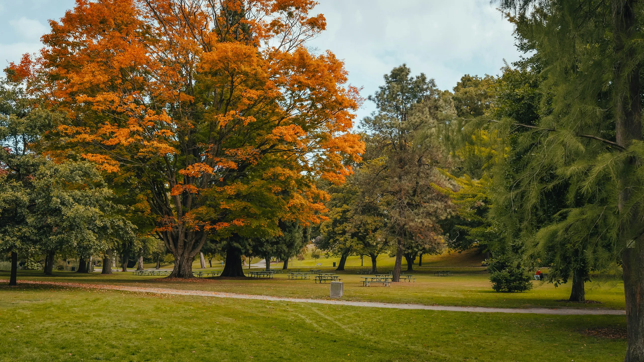 NYCRUNS Brooklyn Experience Half Marathon