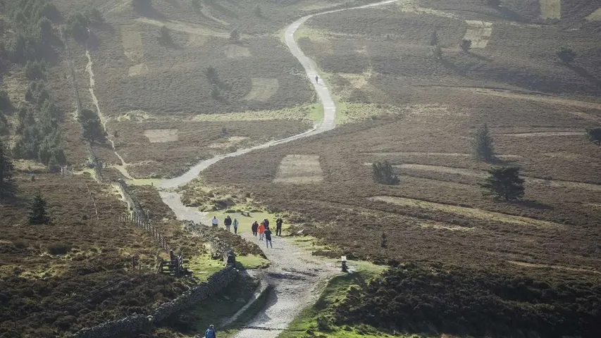 Loggerheads Trail 5k & 10k
