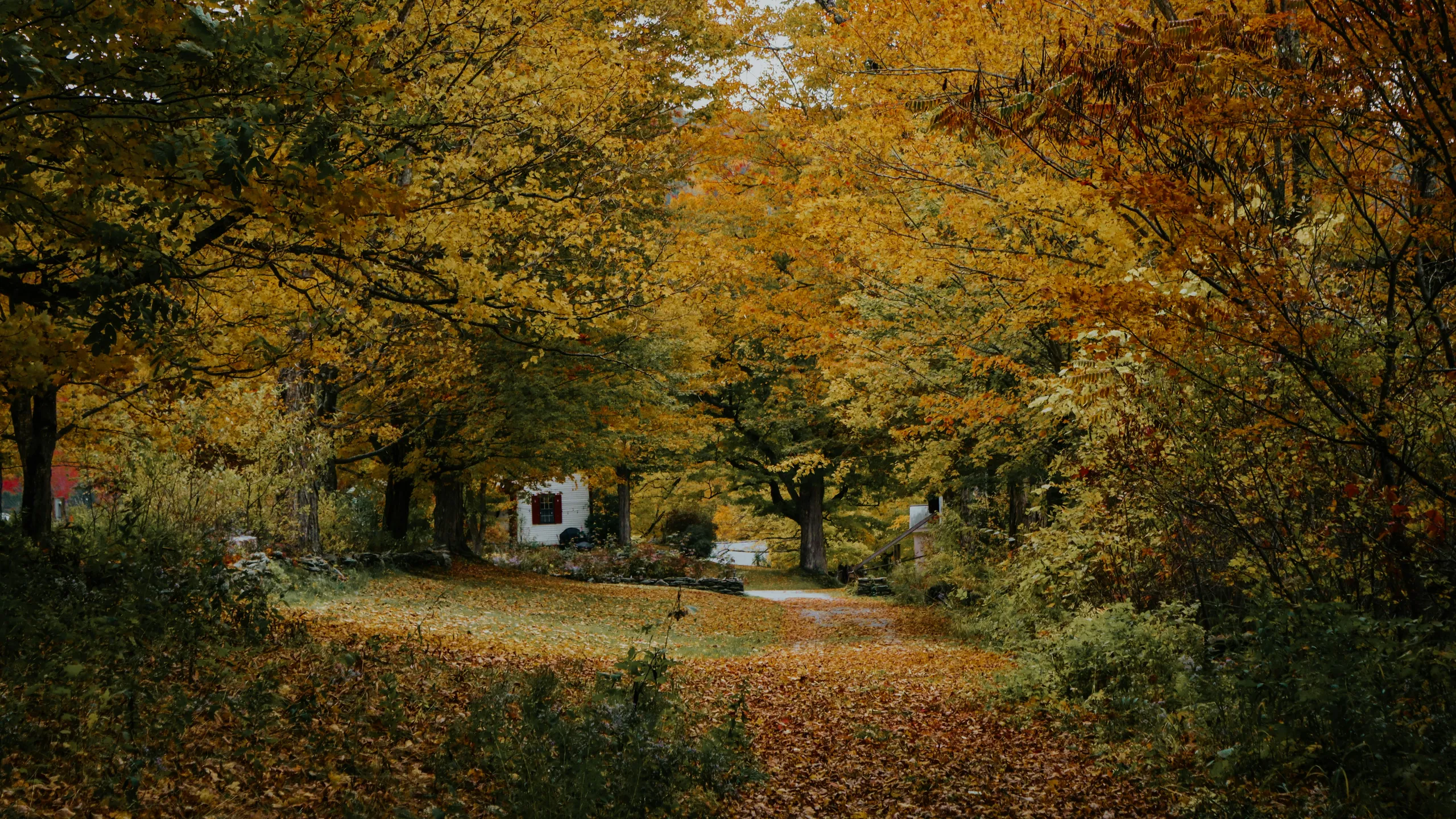 Heritage Trail Series: Autumn