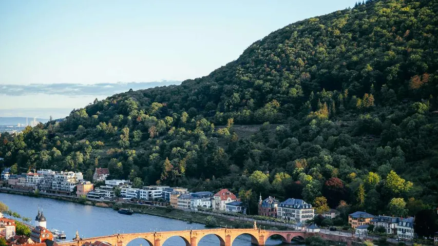 Trail Marathon Heidelberg