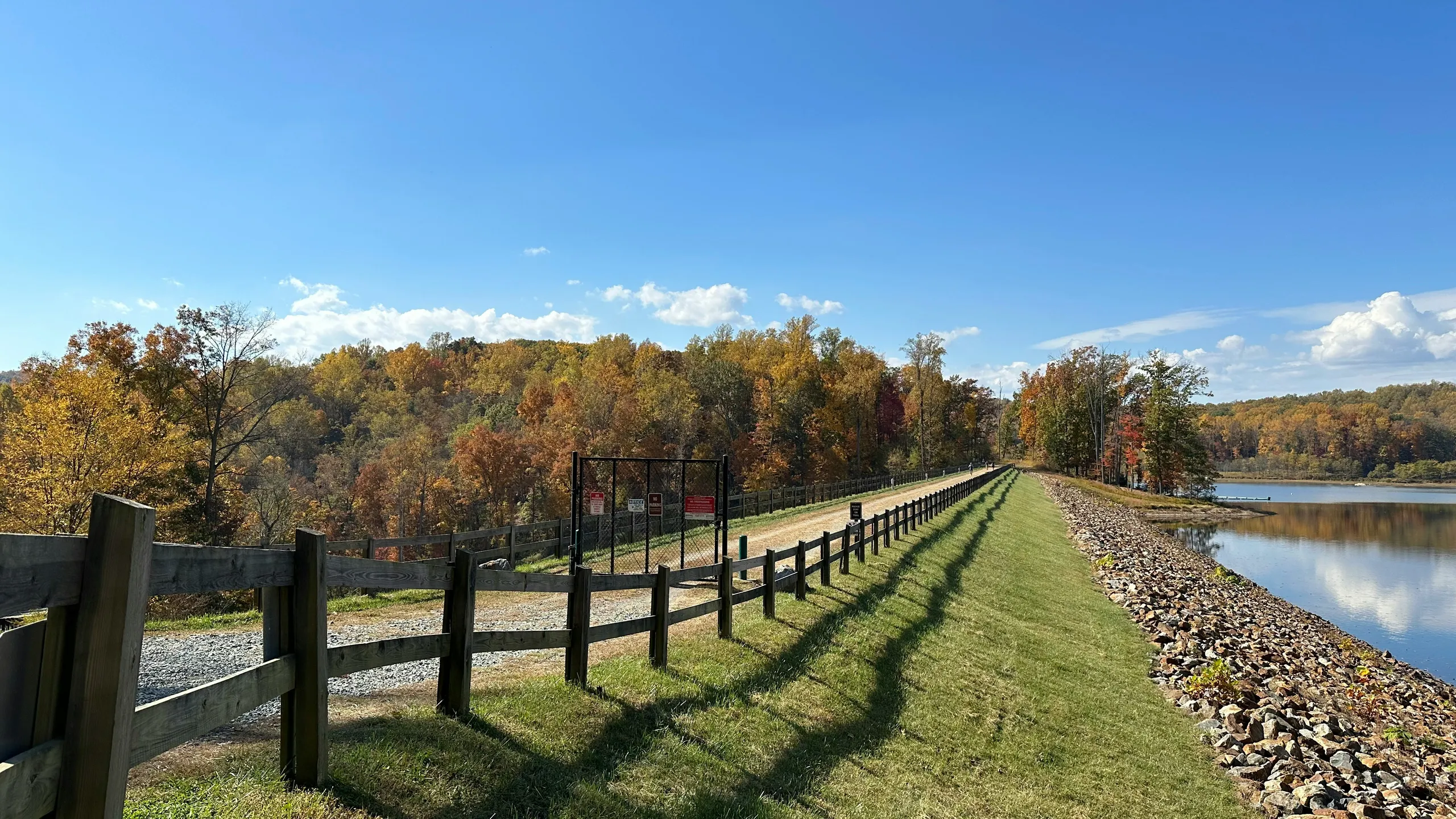 Charlottesville Ten Miler