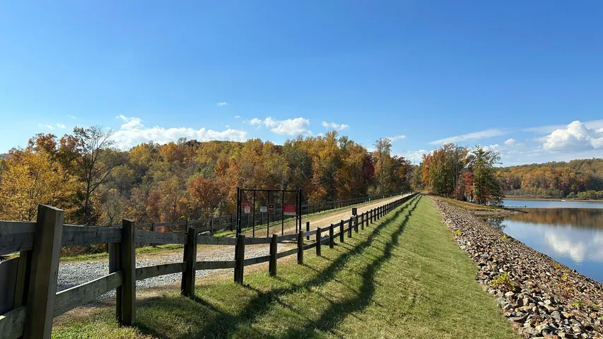 Charlottesville Ten Miler