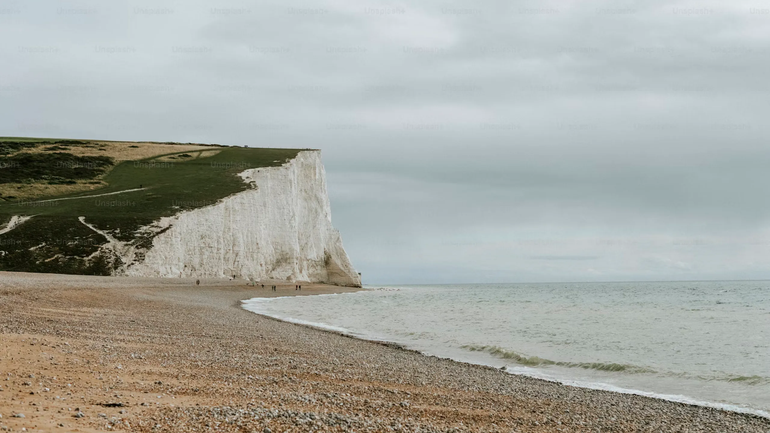 Hastings Half Marathon