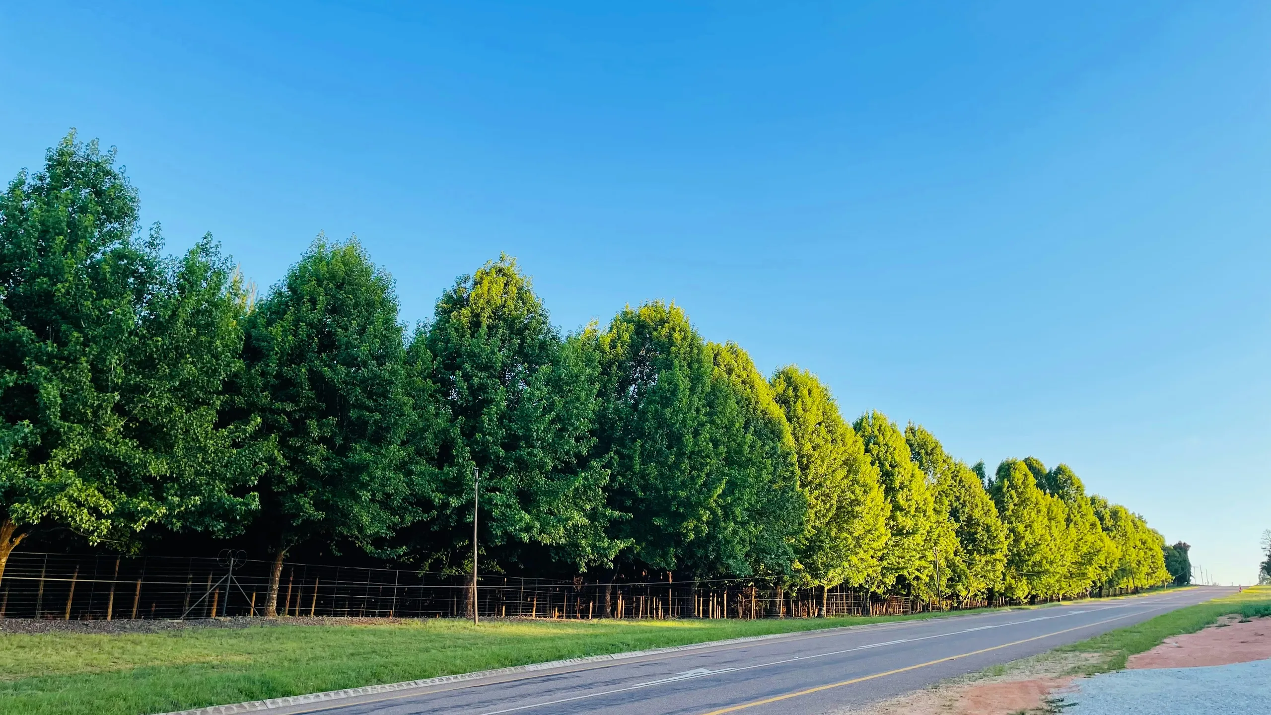 Makgobaskloof Plunge