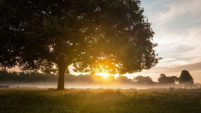 Richmond Park Half Marathon April 2025