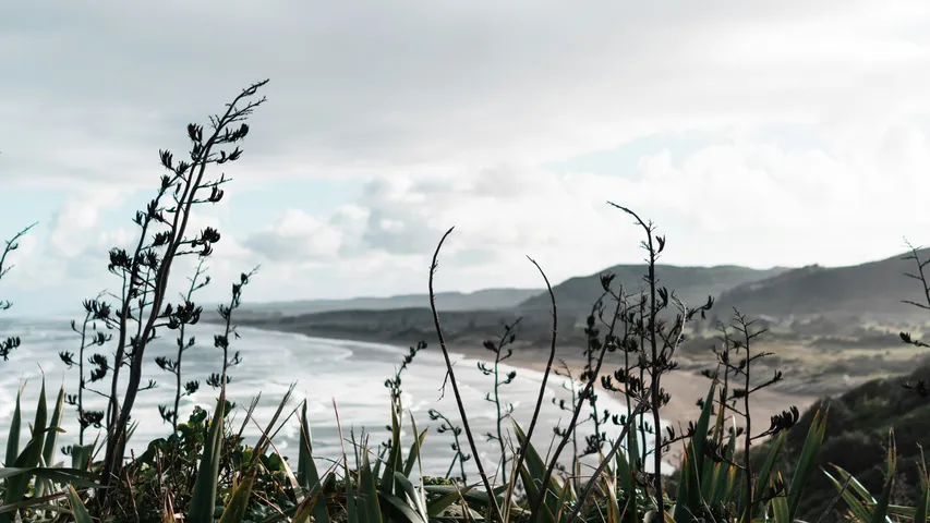 Muriwai Half Marathon & Fun Run