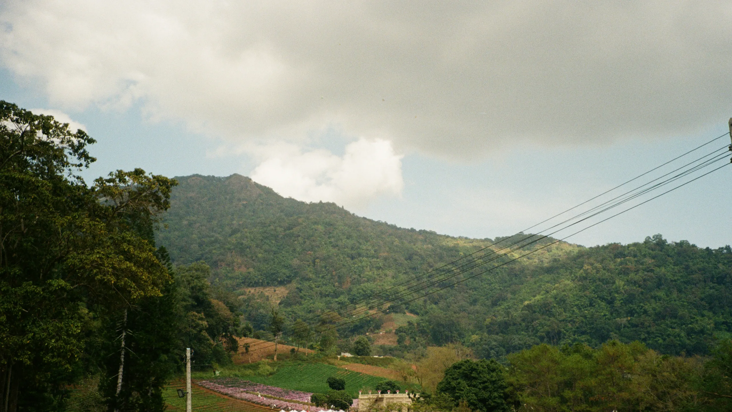 Tarawera Ultra-Trail New Zealand