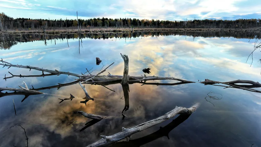 57. Schwarzwald-Marathon