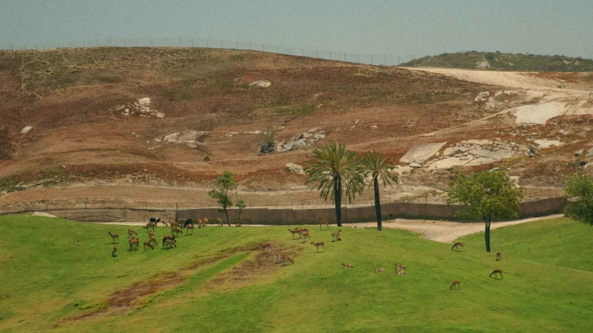 San Diego 50 & Trail Runs 2026