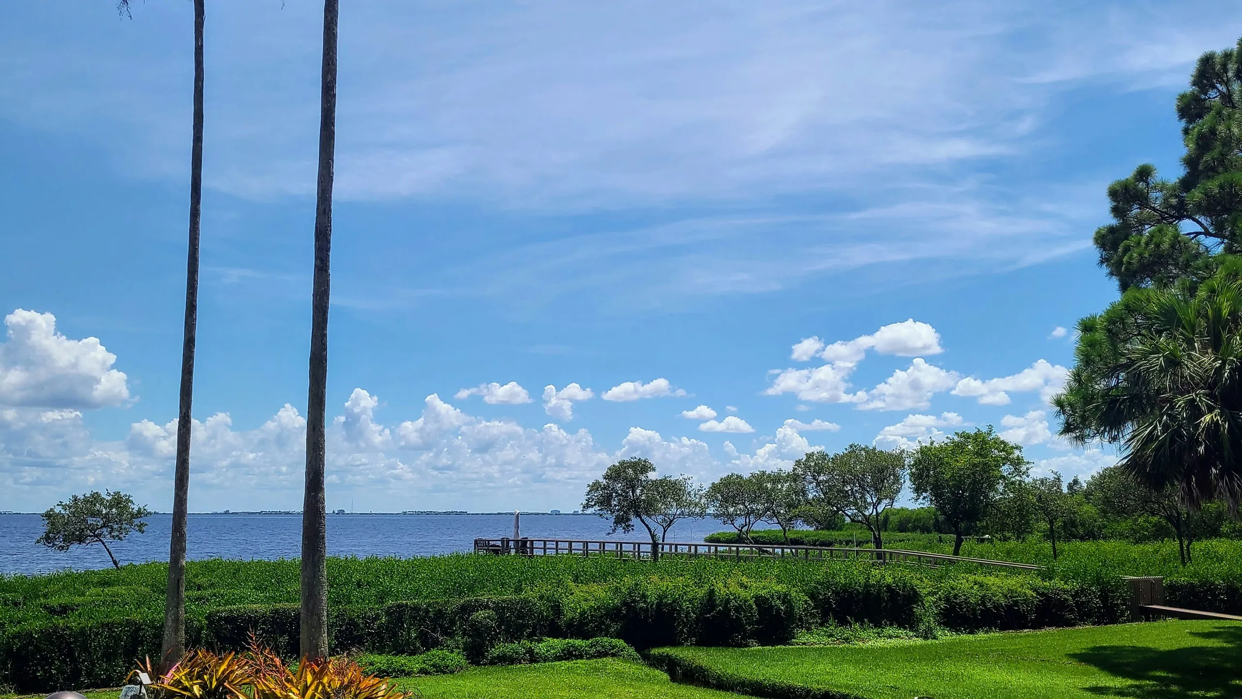 Best Damn Race Safety Harbor 2026