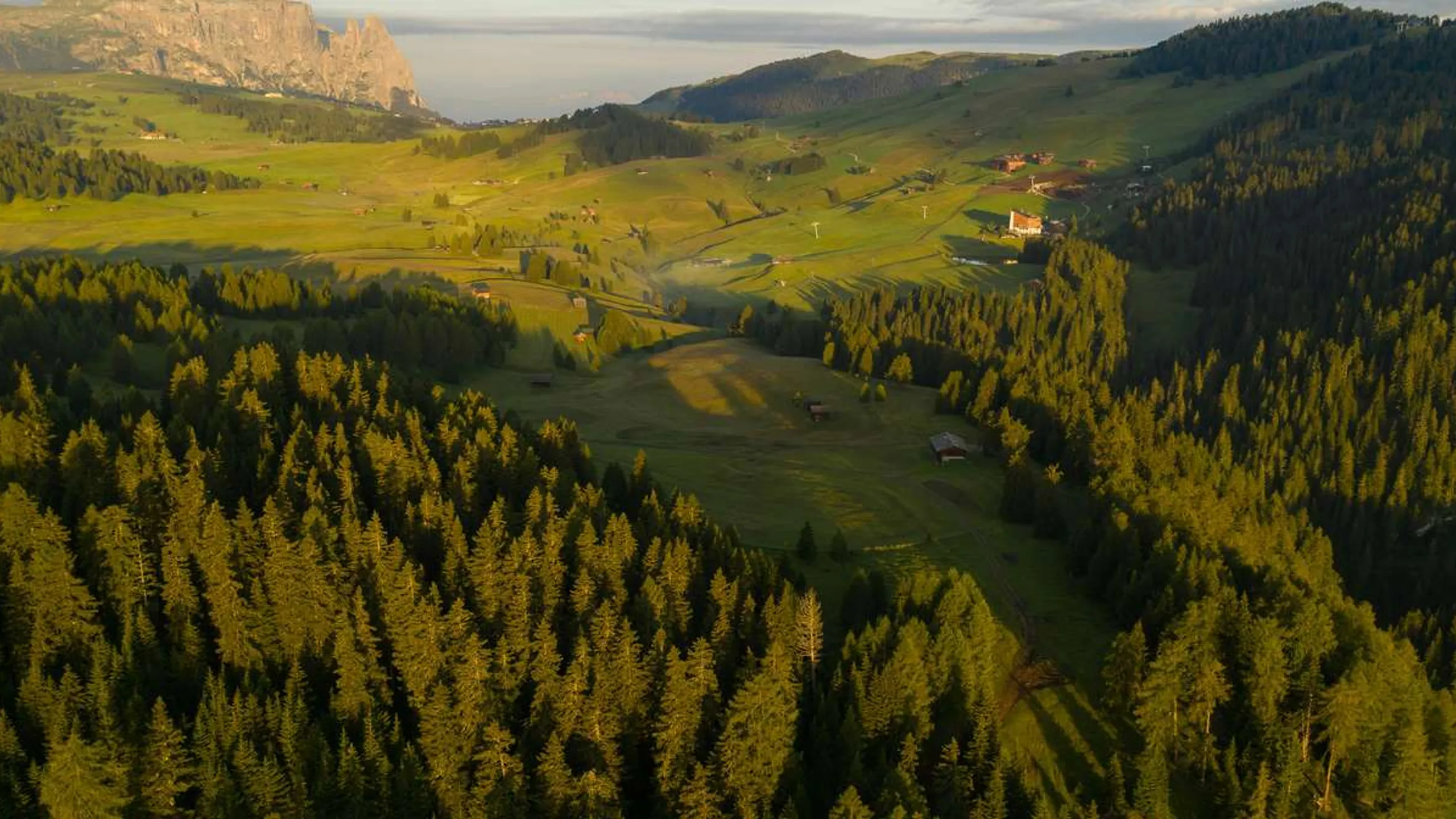 Nature Made Great Race 13.1M 10.3M 15K 10K 5K 1M